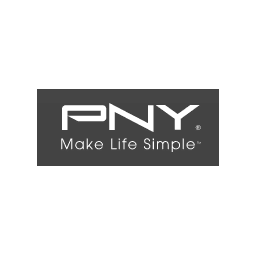Pny 1